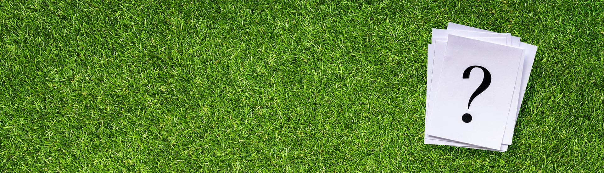 Questions fréquemment posées sur le gazon synthétique | Realturf France, image size:1920x550